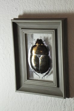 SAMSUNG DIGITAL CAMERA